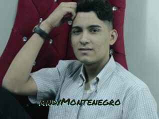 AndyMontenegro