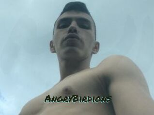 AngryBirdions