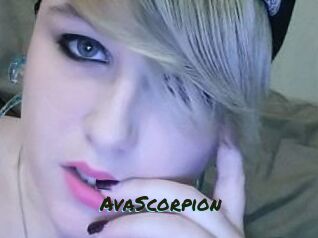 Ava_Scorpion Muhyoo Adult