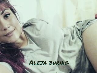 Aleja_burnig