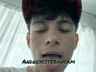 Andreyestebancam