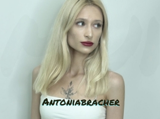 Antoniabracher