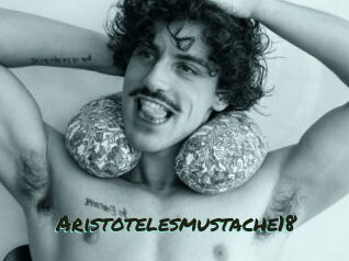 Aristotelesmustache18