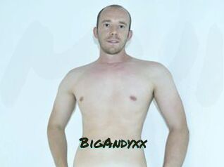 BigAndyxx