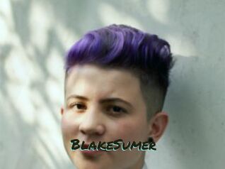 BlakeSumer