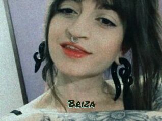 Briza