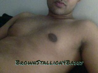 BrownStallion4Babes