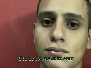 Bigcock_handsomes