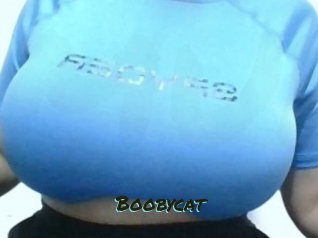 Boobycat