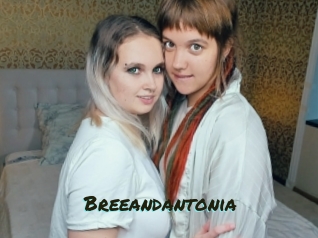 Breeandantonia