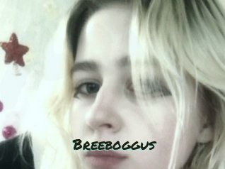 Breeboggus