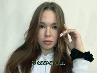 Breedevall