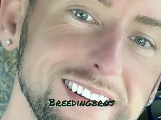 breedingbros Muhyoo Adult