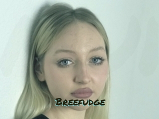 Breefudge