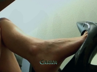 Canna Muhyoo Adult