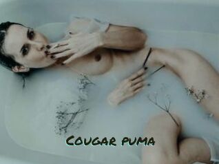Cougar_puma