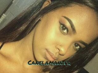 Canelamanzur