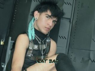 Cat_bad