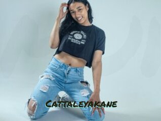 cattaleyakane Muhyoo Adult