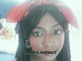cheilavenus Muhyoo Adult