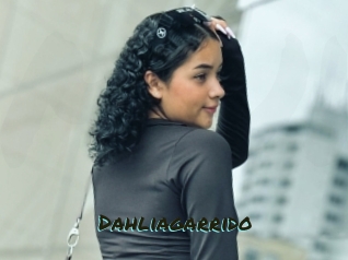 Dahliagarrido