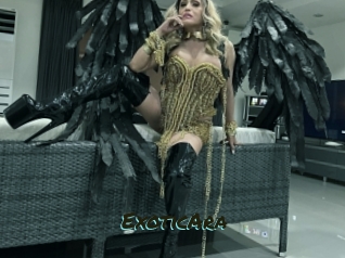 ExoticAra Muhyoo Adult