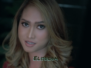 Elisecam