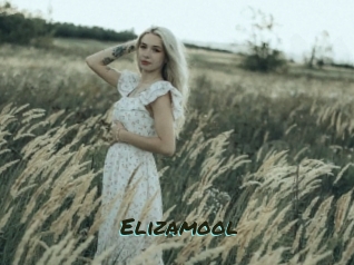 Elizamool