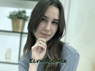 Elvinagomer