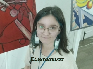 Elwynabuss