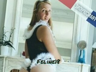 Feline18