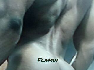 Flamin