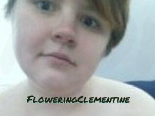 FloweringClementine