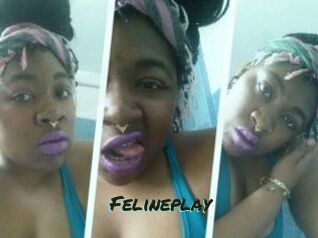 Felineplay