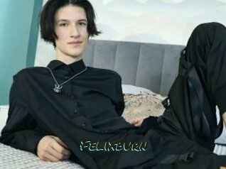 Felixburn