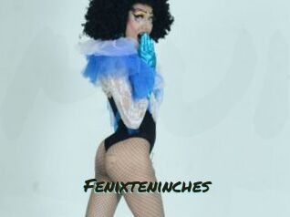 Fenixteninches