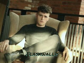 Flashwallis