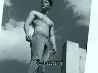 Gavhot19