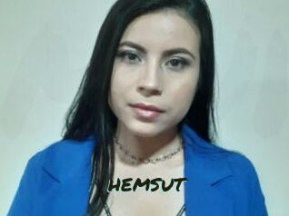 HEMSUT