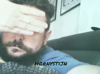 Hornystijn