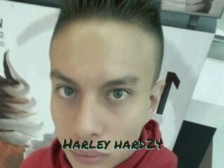 Harley_hard24