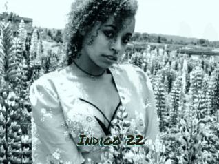 Indigo_22 Muhyoo Adult