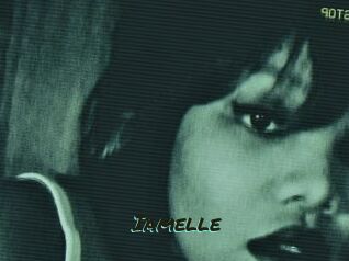 Iamelle