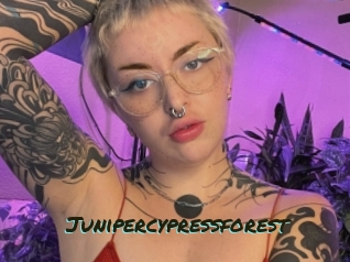 Junipercypressforest