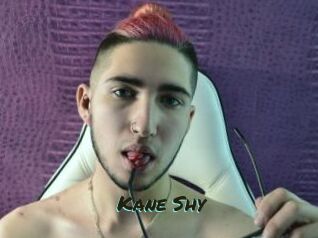 Kane_Shy Muhyoo Adult