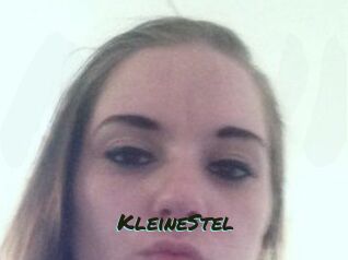 KleineStel