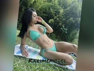 Karimemodel