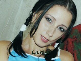 Lily_Cat_