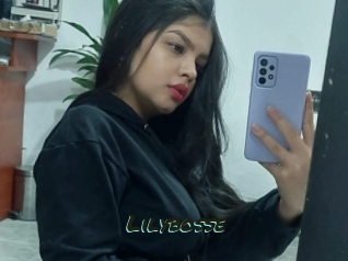Lilybosse