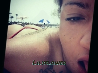 lilyflower Muhyoo Adult